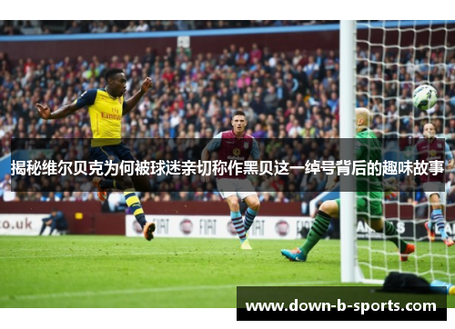 揭秘维尔贝克为何被球迷亲切称作黑贝这一绰号背后的趣味故事