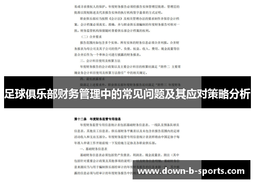 足球俱乐部财务管理中的常见问题及其应对策略分析 足球俱乐部财务管理中的常见问题及其应对策略分析