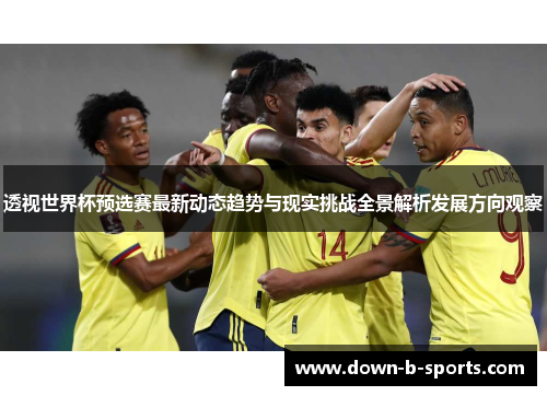 透视世界杯预选赛最新动态趋势与现实挑战全景解析发展方向观察 透视世界杯预选赛最新动态趋势与现实挑战全景解析发展方向观察
